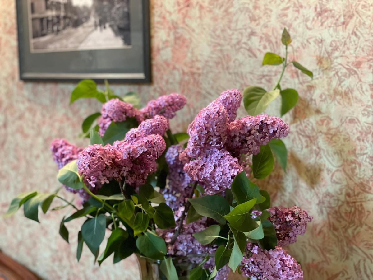 Central House Inn 바 하버 외부 사진